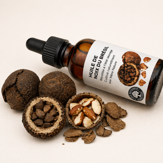 Brazil Nut Oil (organic, cold pressed, unrefined)