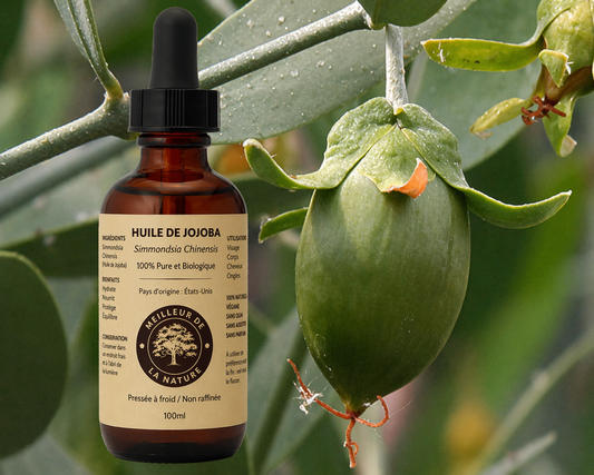 Huile de jojoba vierge 100 % pure et biologique. Naturelle.