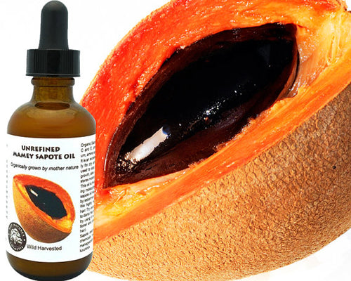 Mamey Sapote (Sapuyulo) Oil (organic, cold pressed, unrefined)